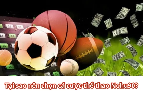 Câu Hỏi Về Các Môn Cá Cược Thể Thao Nohu90 2 Cá Cược Thể Thao Nohu90